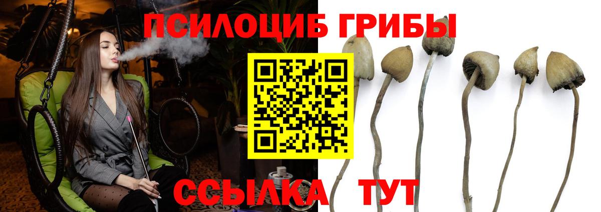 Галлюциногенные грибы мицелий Еманжелинск